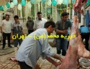 shaban gh97